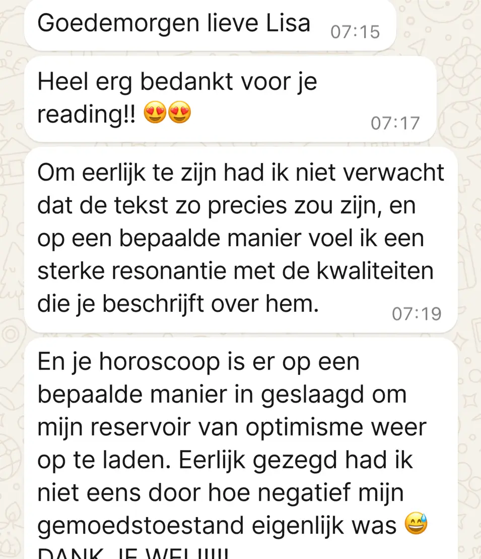 Dit zeggen mijn klanten over mijn werk: 7